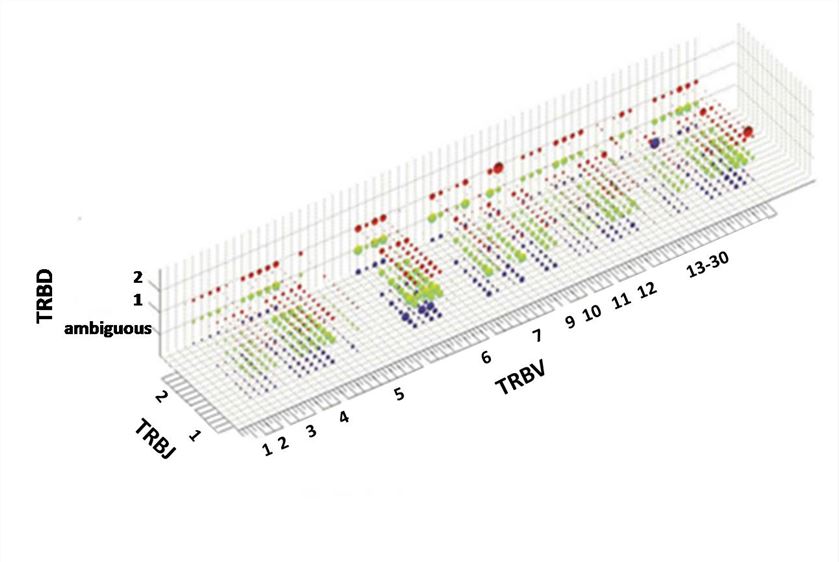 VDJ gene segments usages of TCR β chain in rhesus monkey (Li et al. 2015).
